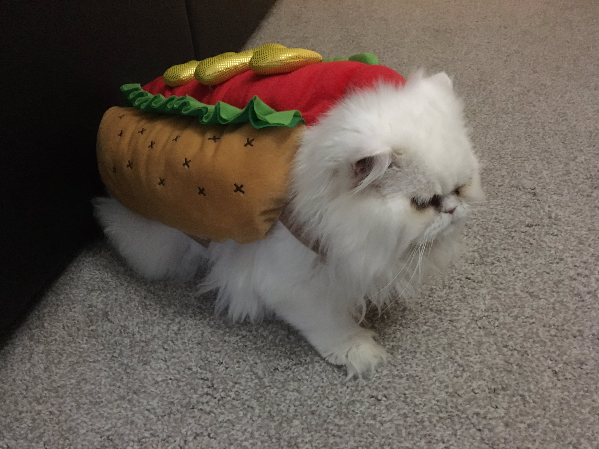 1572557055857.png