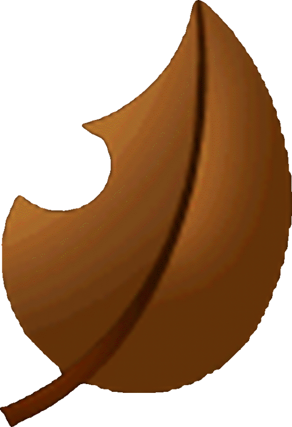 Brown Super Leaf - Mario Kart Wii.png