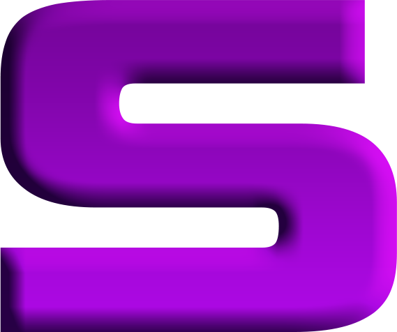 S Rank - Sonic Adventure 2.png
