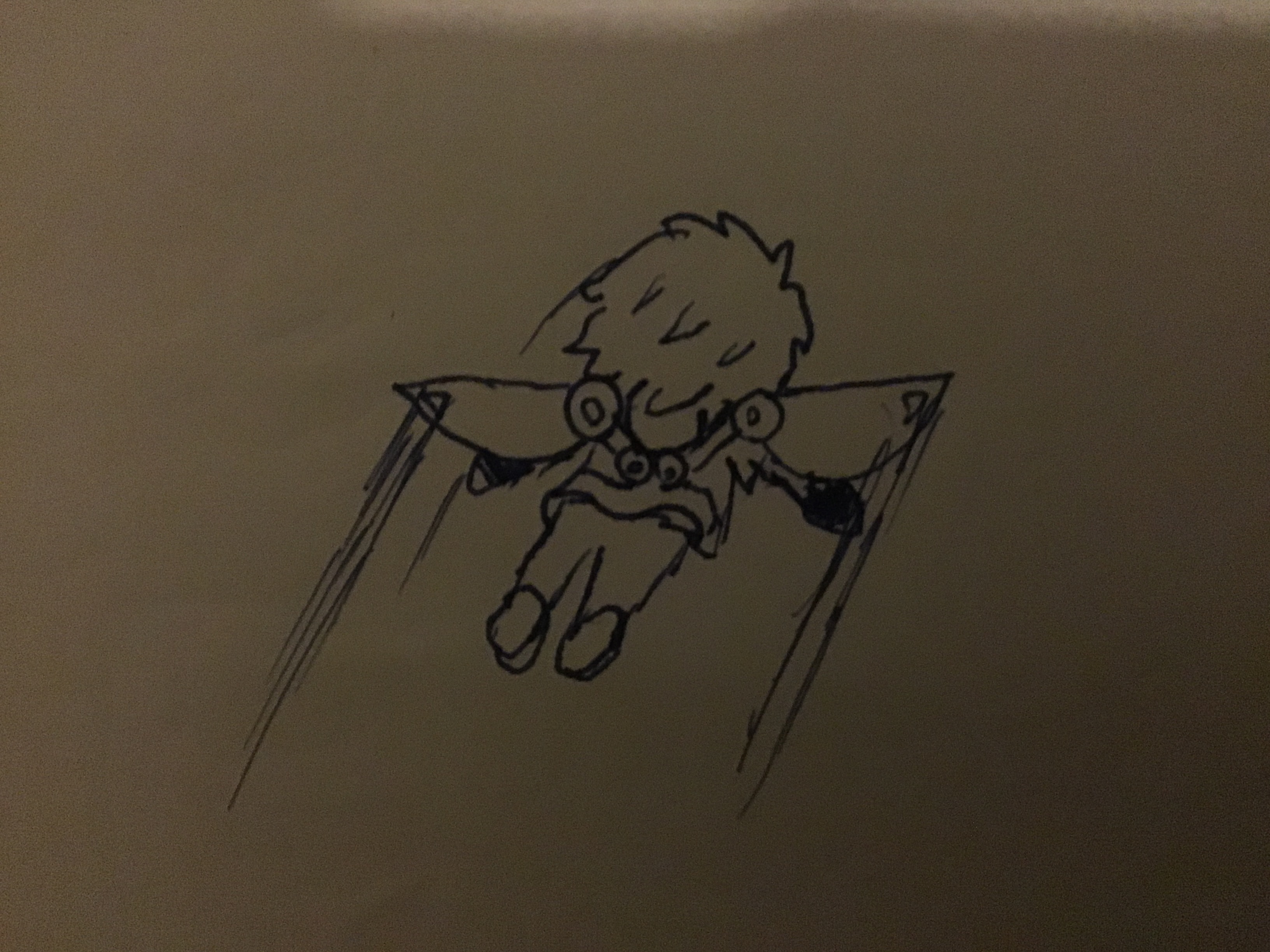 image.jpg