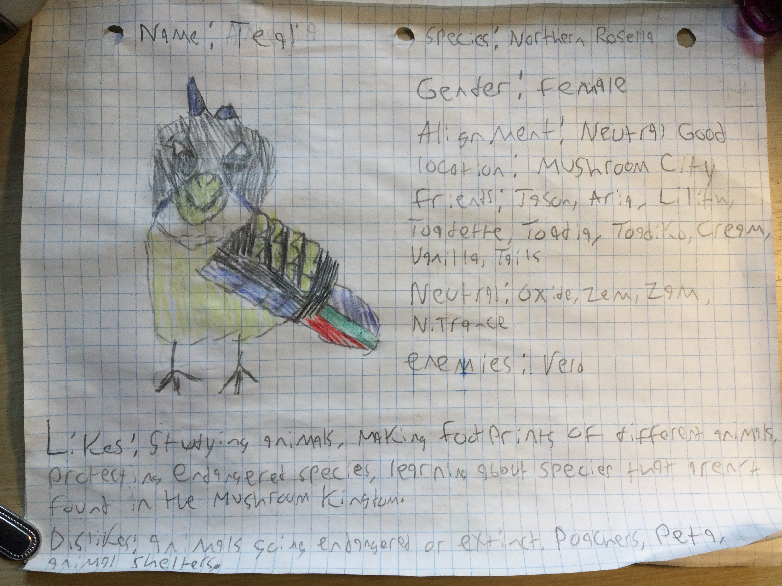 image.jpg