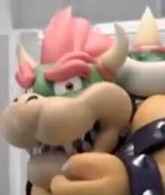 Bowser reaction meme.jpg