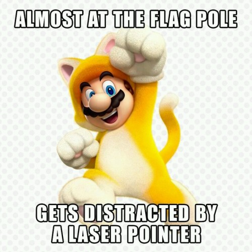 1658146650957.jpeg