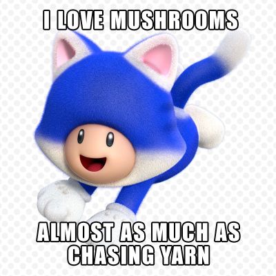 1667049330321.jpeg