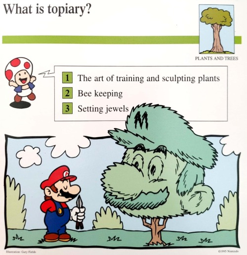 1673886346206.jpeg