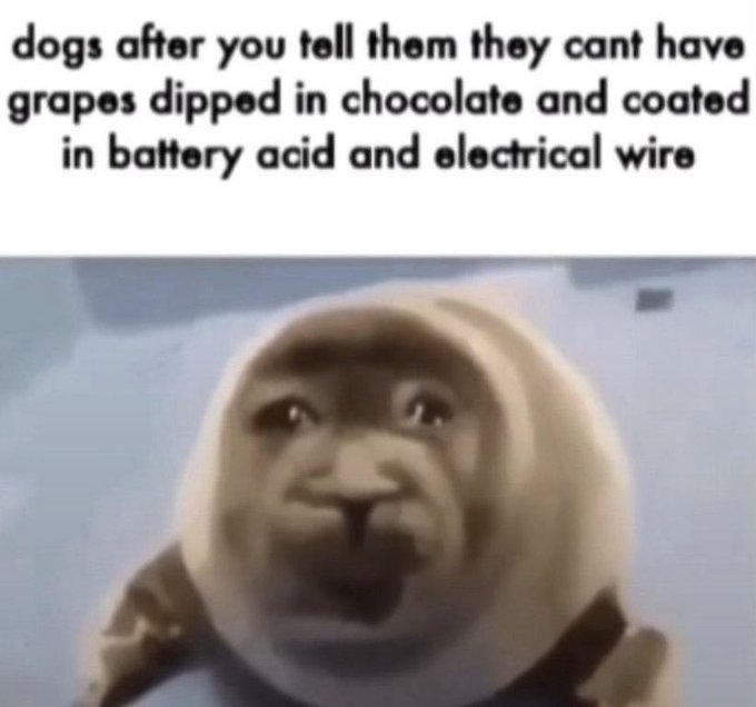 FZa7tnzVQAE408L.jpg