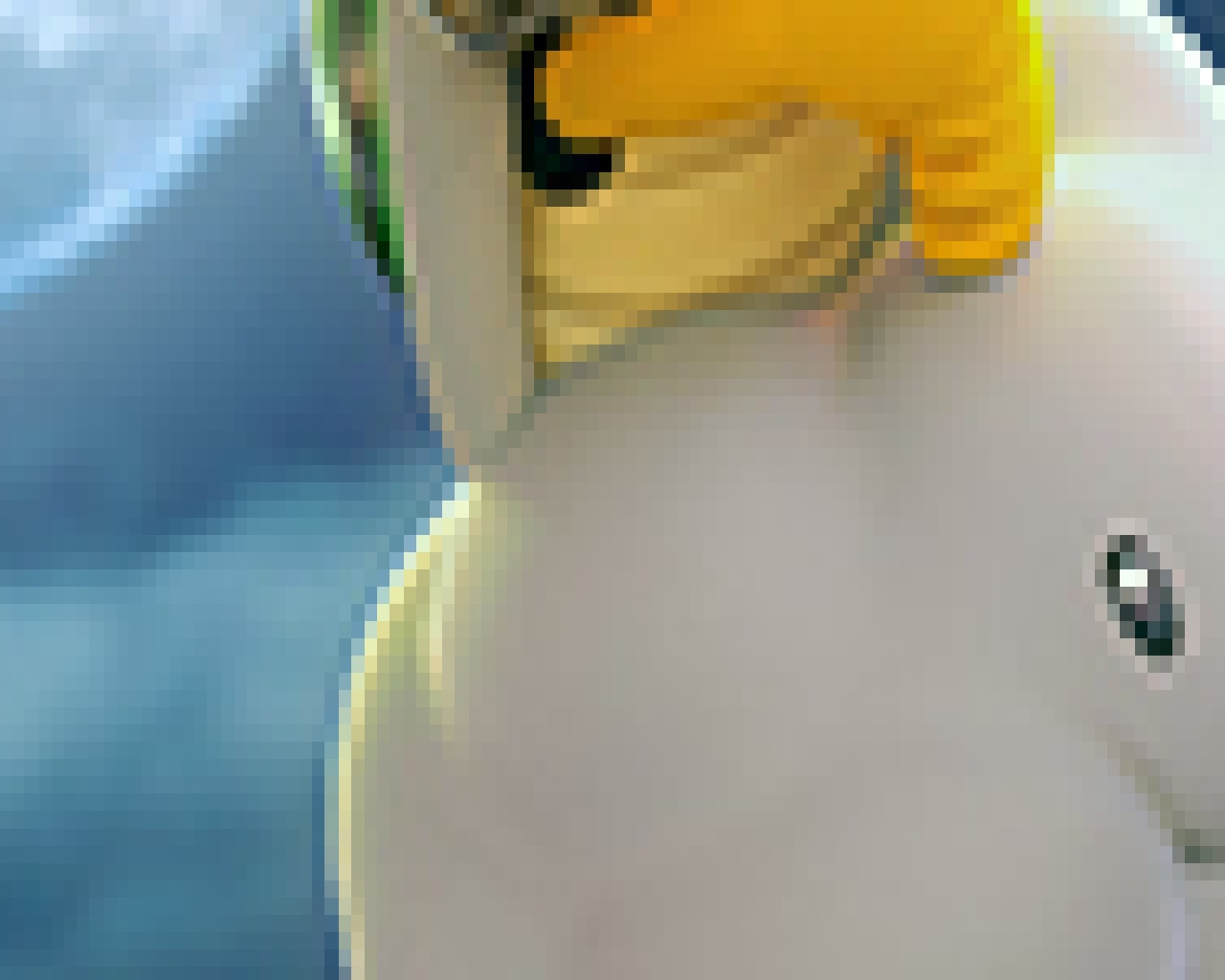 Zoom 1.jpg