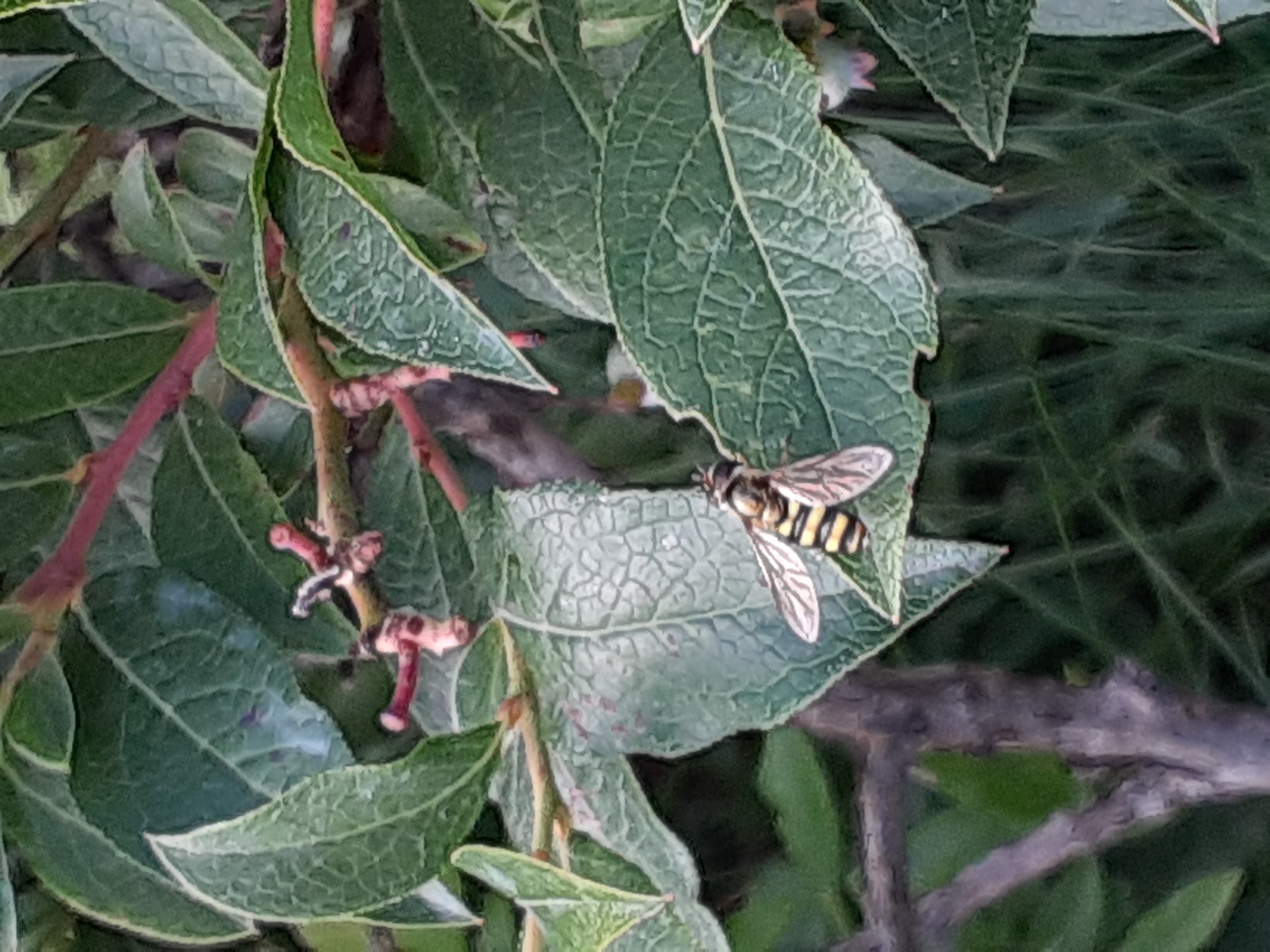 20230730_150530.jpg