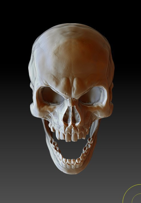 url(3).png