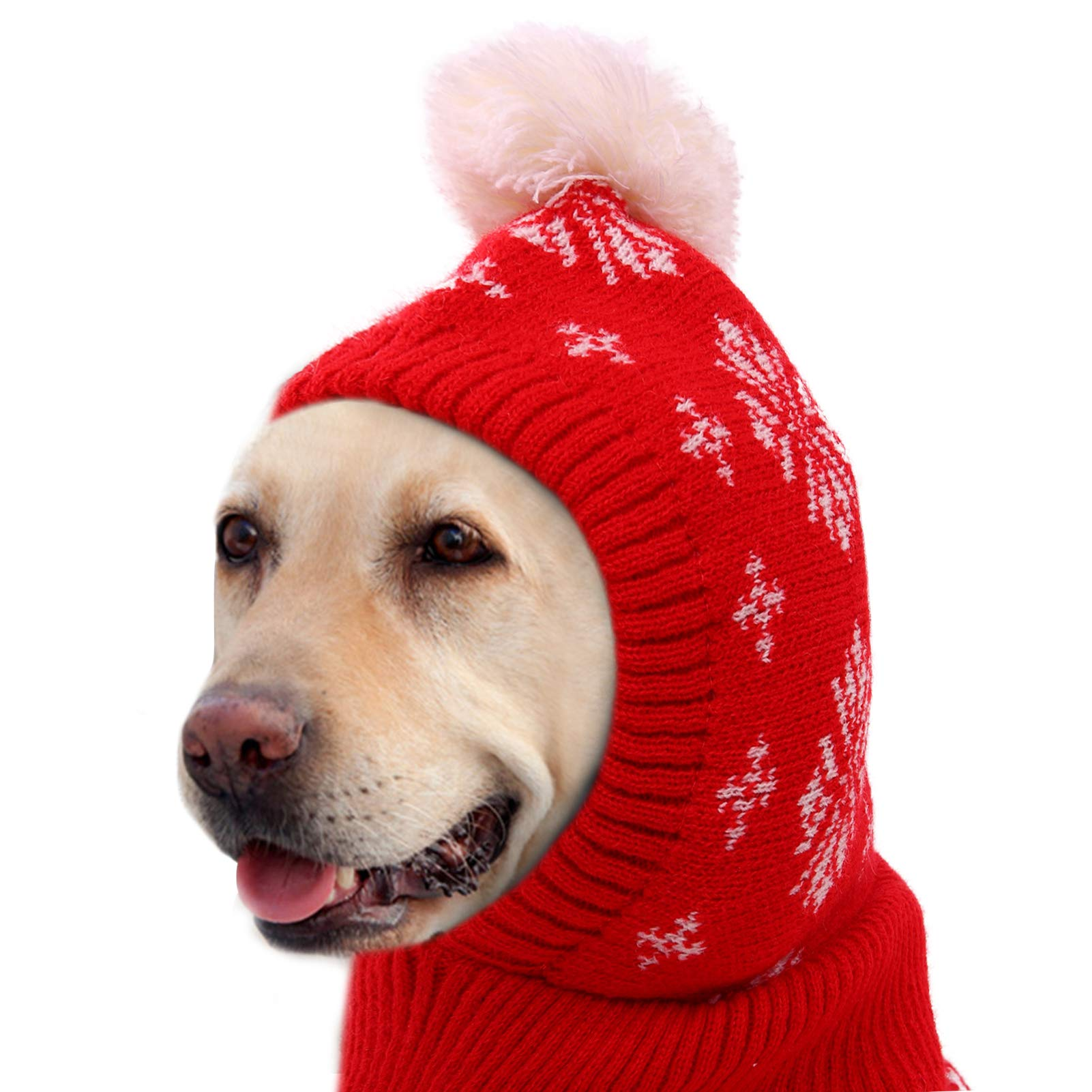 1703453657650.png