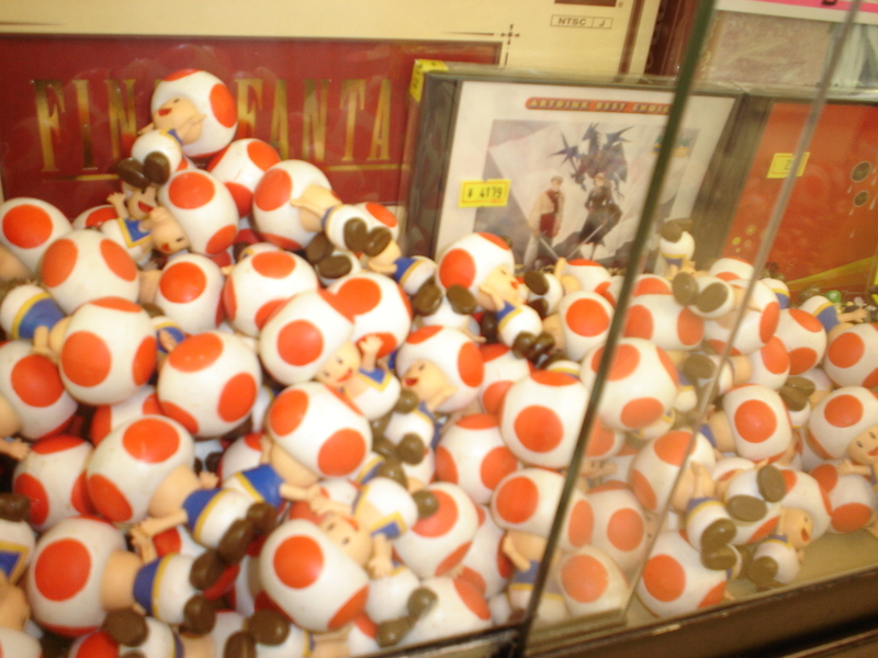 dsc02286_2.jpg