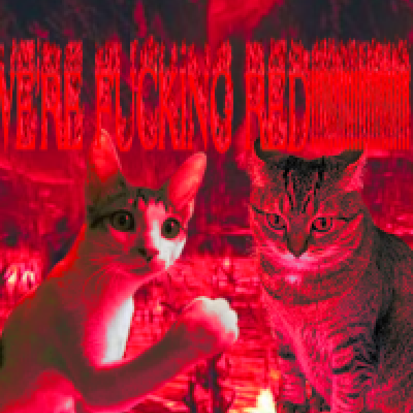 WE'RE RED.png
