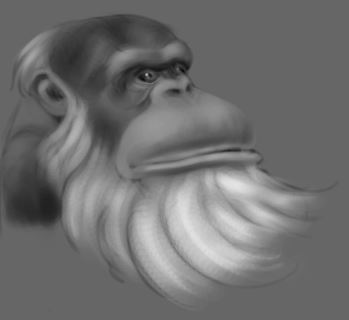 hgvvugi.JPG