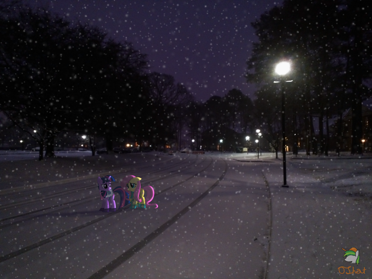 IMG_0206.png