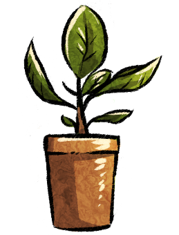 ficus.png