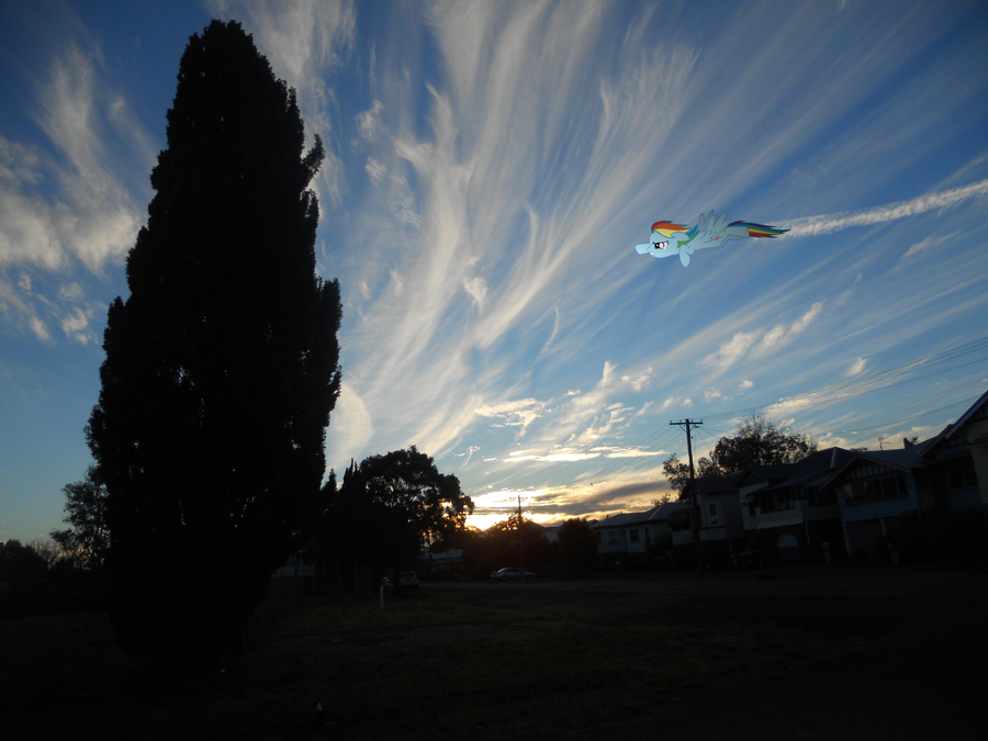 IMG_0530.png