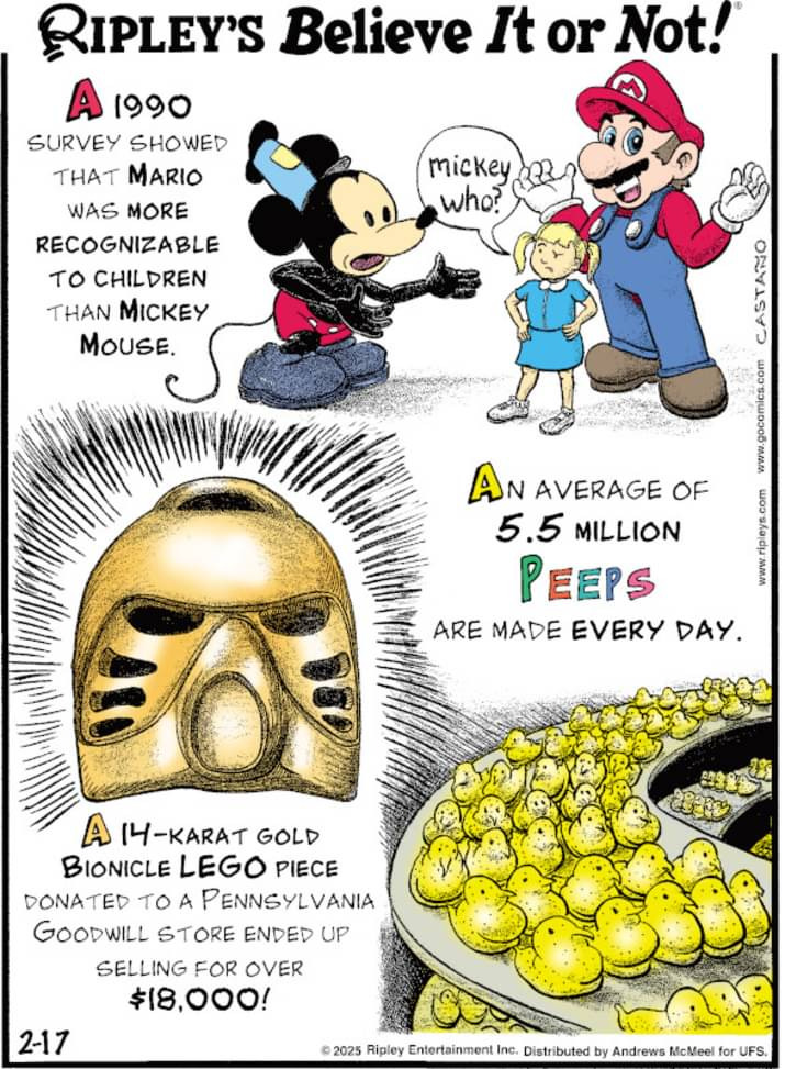 1000001991.jpg