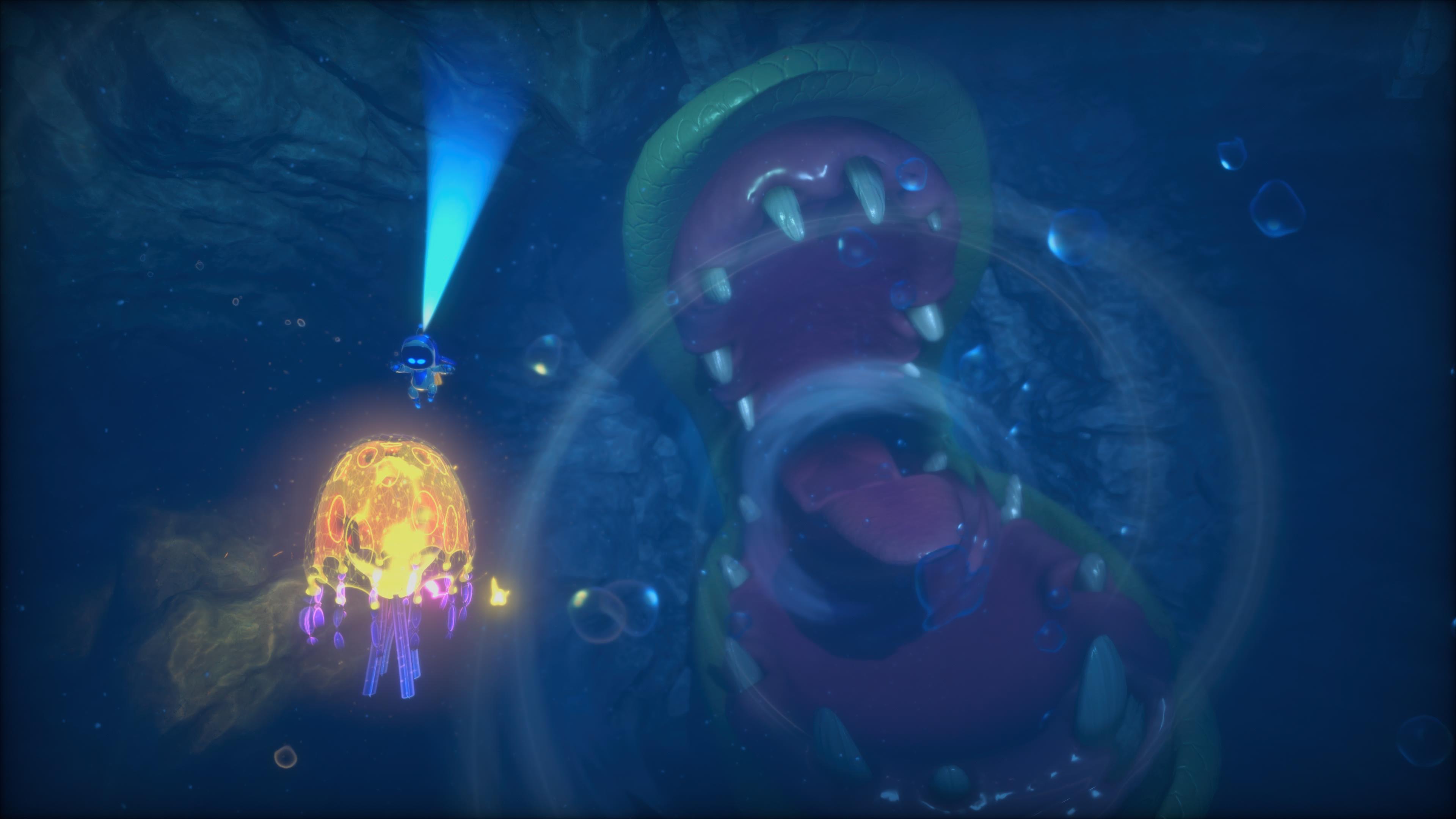 AB_eel_eat.jpg