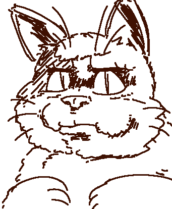 cat.png