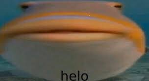 Unknown-6.jpeg