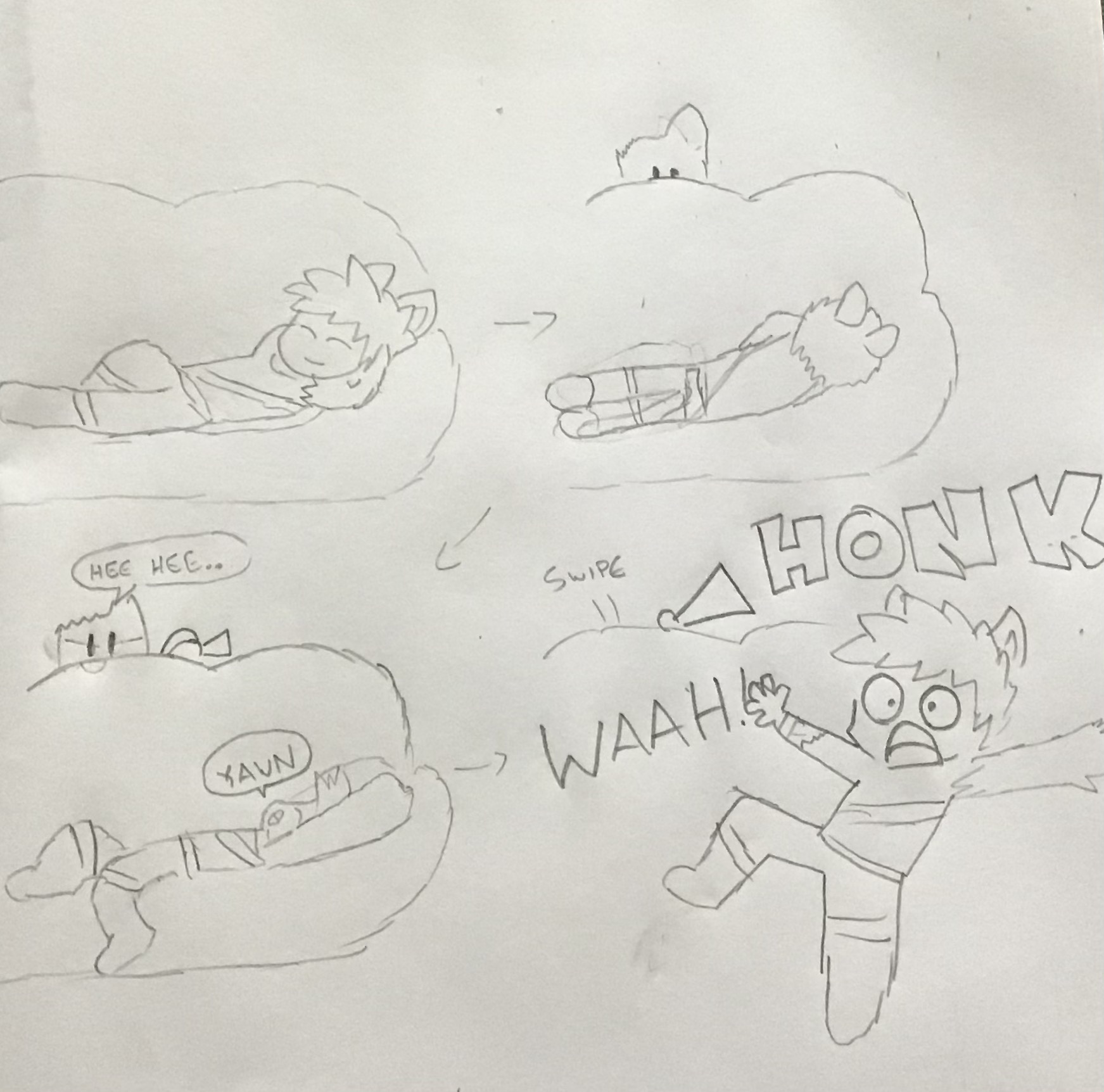 1606315931478.jpeg