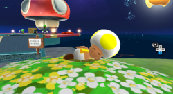 250px-SMG_Yellowtoad.png