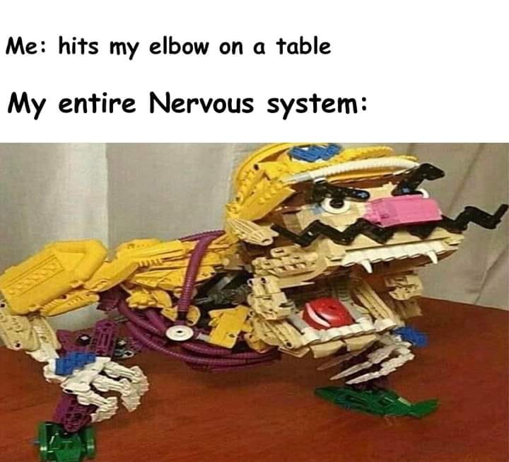 warui .jpg