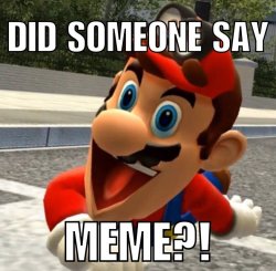 mario_meme_cause_i_m_an_idiot__by_cathedgehog_dbdvil8-pre.jpg