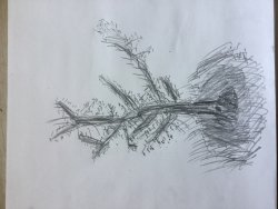 2E9F5363-D995-4982-A0C0-CA774AC56F9F.jpeg