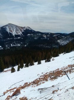 20250320_120815.jpg