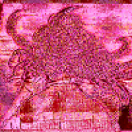 Pea