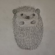 HedgehogGaming