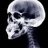 Humanxray