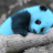 Blue panda98