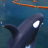 The Orca