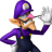 Waluigi and Shadow Fan